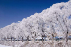 全国初雪时间表出炉 看看你离初雪还有多远？