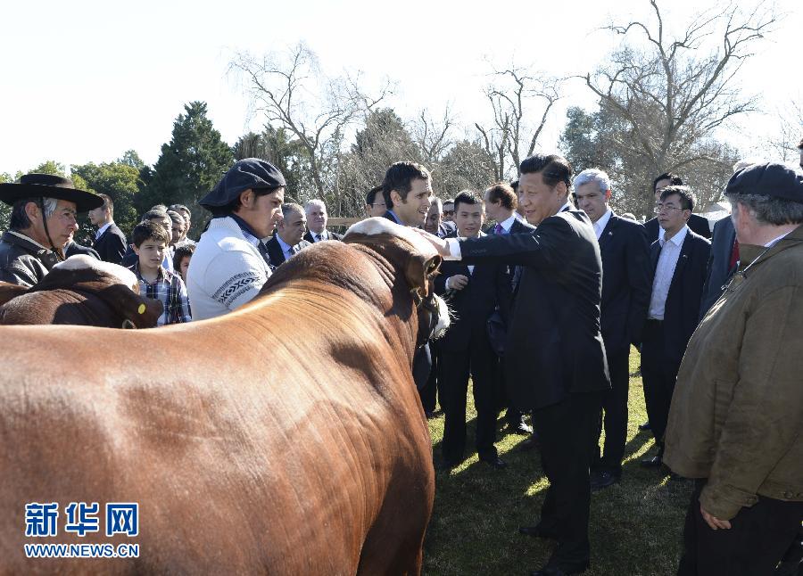 当地时间7月19日，正在对阿根廷进行国事访问的国家主席习近平参观共和国庄园，考察阿根廷农牧业，了解阿根廷农牧民文化特色。新华社记者马占成摄 